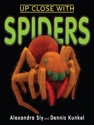 cover image of Up Close With Spiders